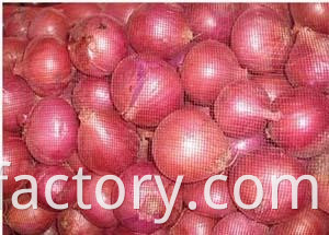 Exporters fresh market prices red onion for importers